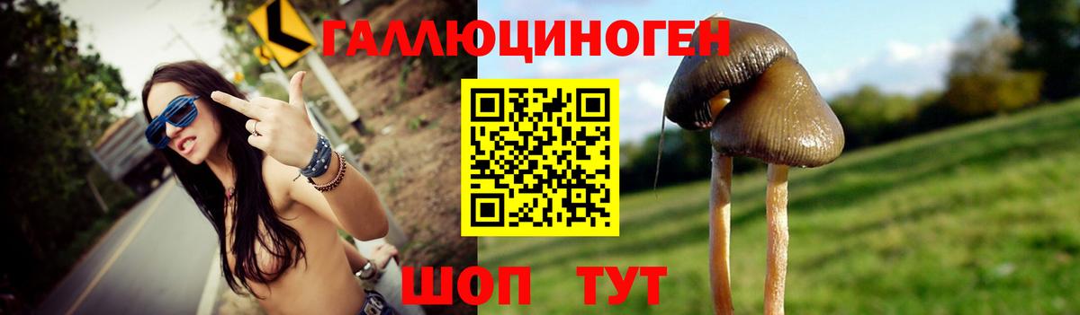 Псилоцибиновые грибы Cubensis Белая Калитва